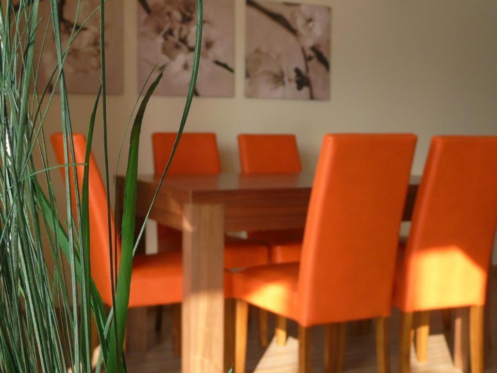 Apartamenty Wislany Brzeg Ustron Kültér fotó